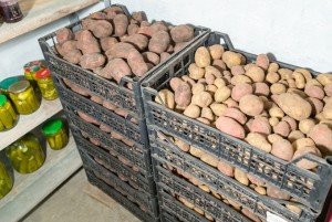 Свежие овощи на зиму
