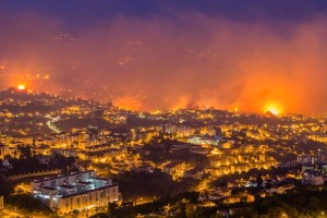 В Португалии удалось взять под контроль пожары, распространившиеся на северном востоке страны